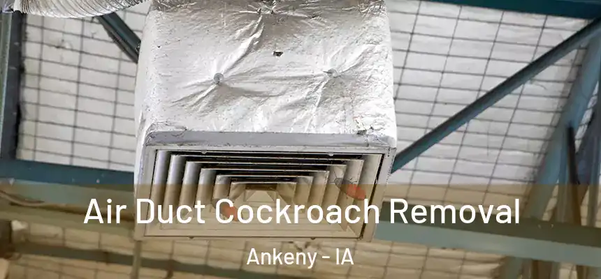  Air Duct Cockroach Removal Ankeny - IA