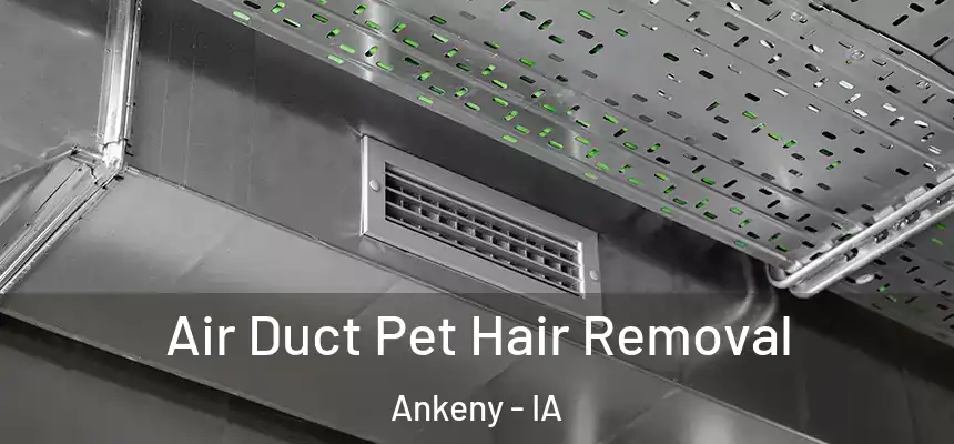 Air Duct Pet Hair Removal Ankeny - IA