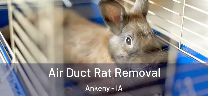  Air Duct Rat Removal Ankeny - IA