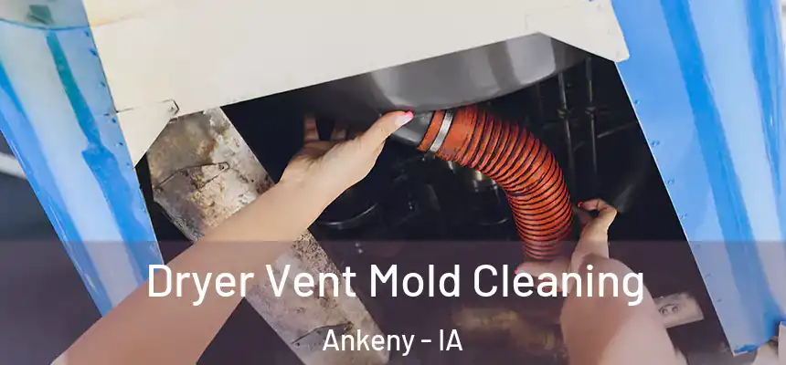  Dryer Vent Mold Cleaning Ankeny - IA