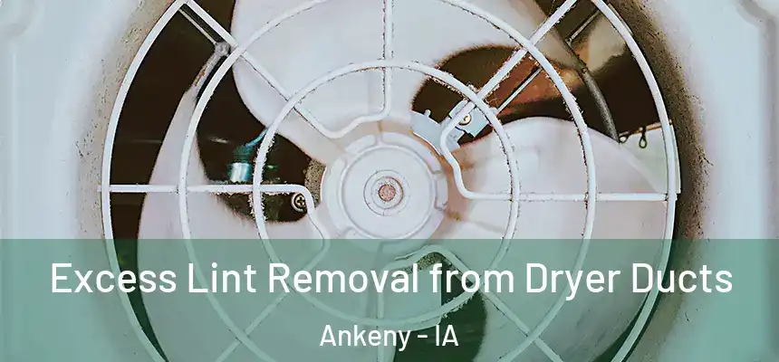 Excess Lint Removal from Dryer Ducts Ankeny - IA