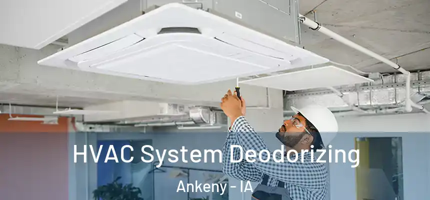 HVAC System Deodorizing Ankeny - IA