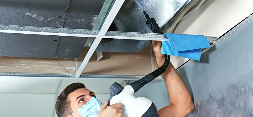 Our Air Duct Rodent Removal Services in Ankeny, IA