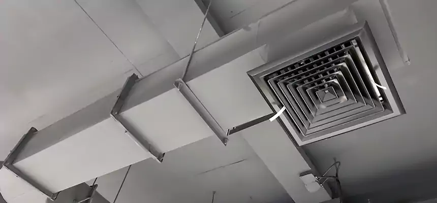 Our Pest Removal From Ducts Services in Ankeny, IA