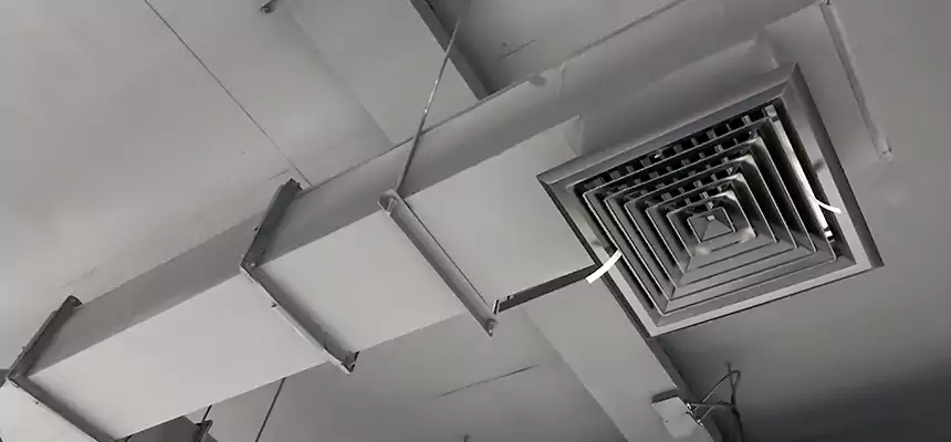 Our Rodent Droppings In Vents Services in Ankeny, IA