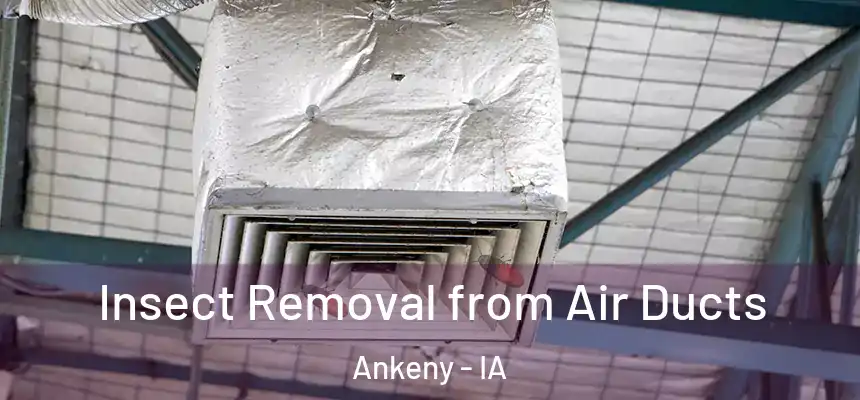  Insect Removal from Air Ducts Ankeny - IA