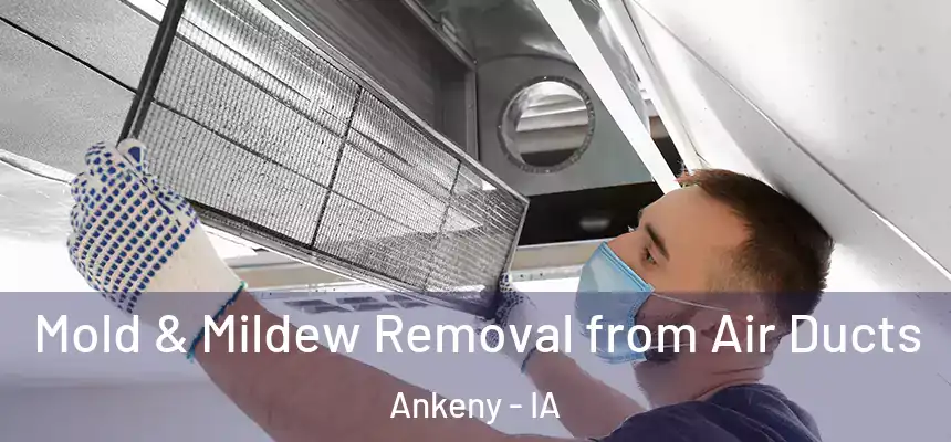 Mold & Mildew Removal from Air Ducts Ankeny - IA