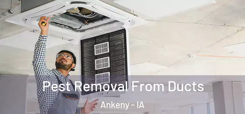 Pest Removal From Ducts Ankeny - IA