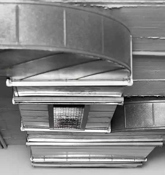 Professional Air Duct Pet Hair Removal in Ankeny, IA