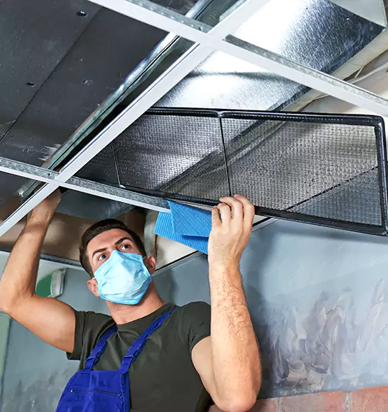 Professional Air Duct Pollen Cleaning in Ankeny, IA