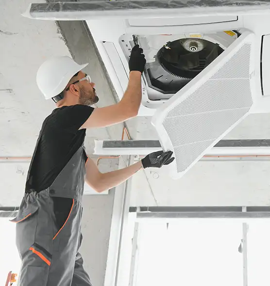 About Air Duct Rodent Removal in Ankeny, IA