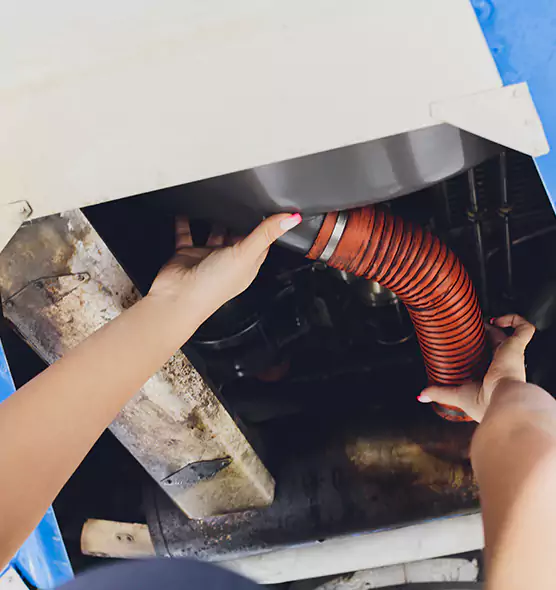 About Air Duct Virus Disinfection in Ankeny, IA