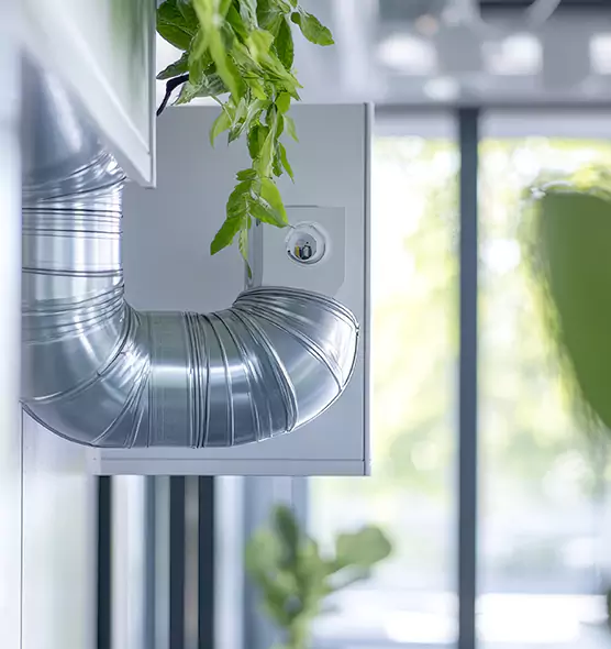 Professional Eco-Safe Dryer Vent Cleaning in Ankeny, IA