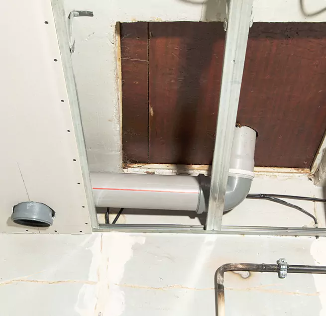 Why Homeowners & Businesses Trust Us in Ankeny, IA?