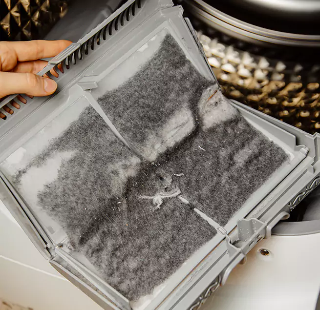  Why Homeowners & Businesses Trust Us Ankeny, IA?