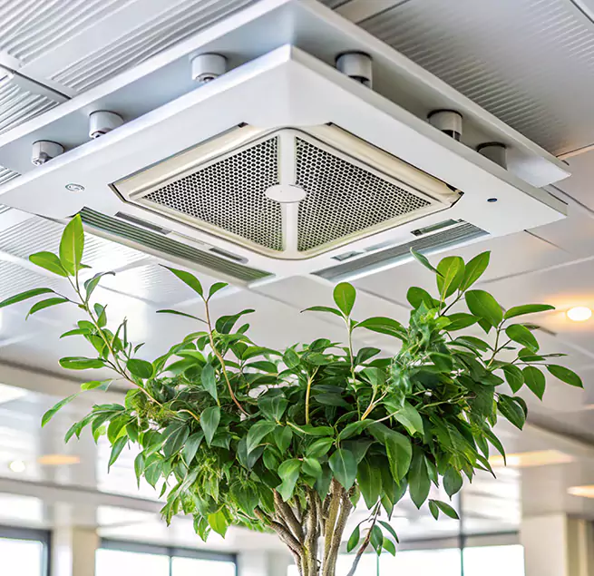 Why Homeowners & Businesses Trust Us in Ankeny, IA?