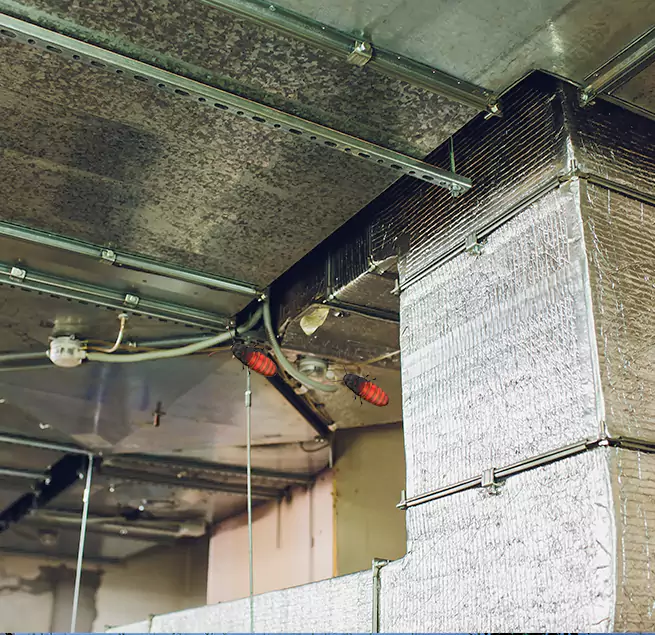 Why Homeowners & Businesses Trust Us Ankeny, IA?