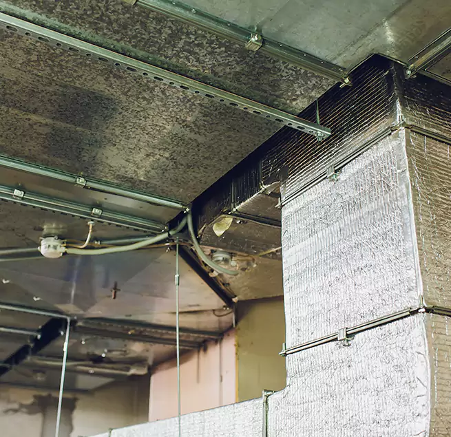 Why Homeowners & Businesses Trust Us in Ankeny, IA?