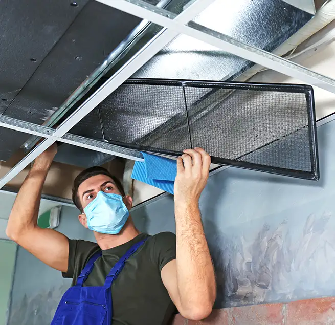 Why Homeowners & Businesses Trust Us in Ankeny, IA?