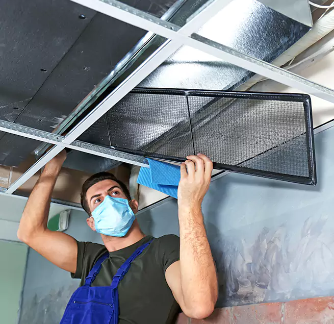 Why Homeowners & Businesses Trust Us in Ankeny, IA?